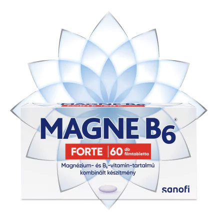 Magne B<sub>6</sub> Forte