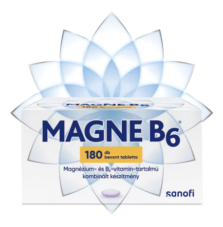 Magne B<sub>6</sub>